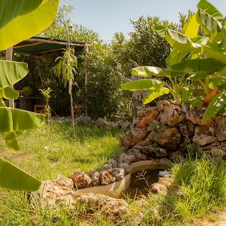 Harmony Corfu & Apartament *