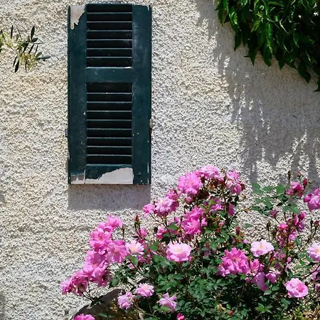 Apartment Harmony Corfu & Corfu (city)