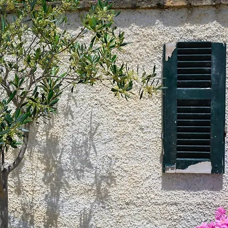 Harmony Corfu & Apartment Corfu (city)