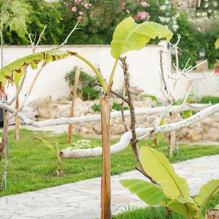 Apartment Harmony Corfu &